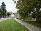 Třibřichy