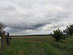 Třibřichy