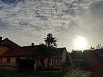Olešná