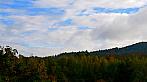 Votice