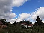 Olešná