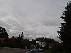 Olešná