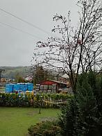 Skalité