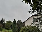 Olešná