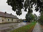 Třibřichy