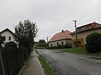 Třibřichy