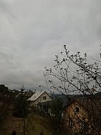 Skalité