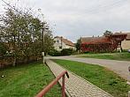 Třibřichy