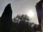 Olešná