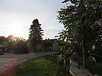 Třibřichy