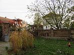 Třibřichy