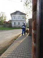 Třibřichy