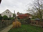 Třibřichy