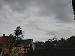 Olešná