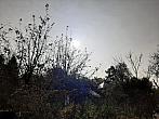 Olešná