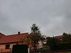 Olešná