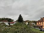 Olešná