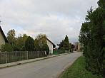 Třibřichy