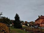 Olešná