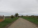 Třibřichy