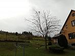 Skalité