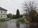 Třibřichy