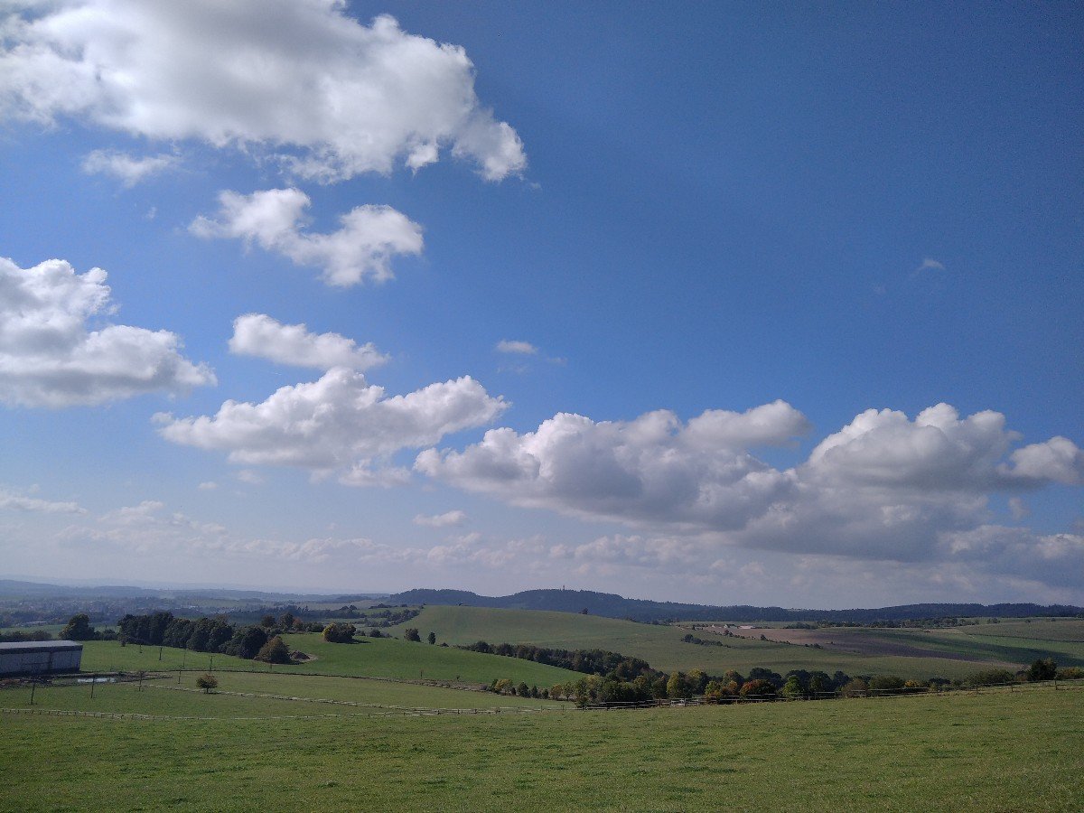 Pohledec