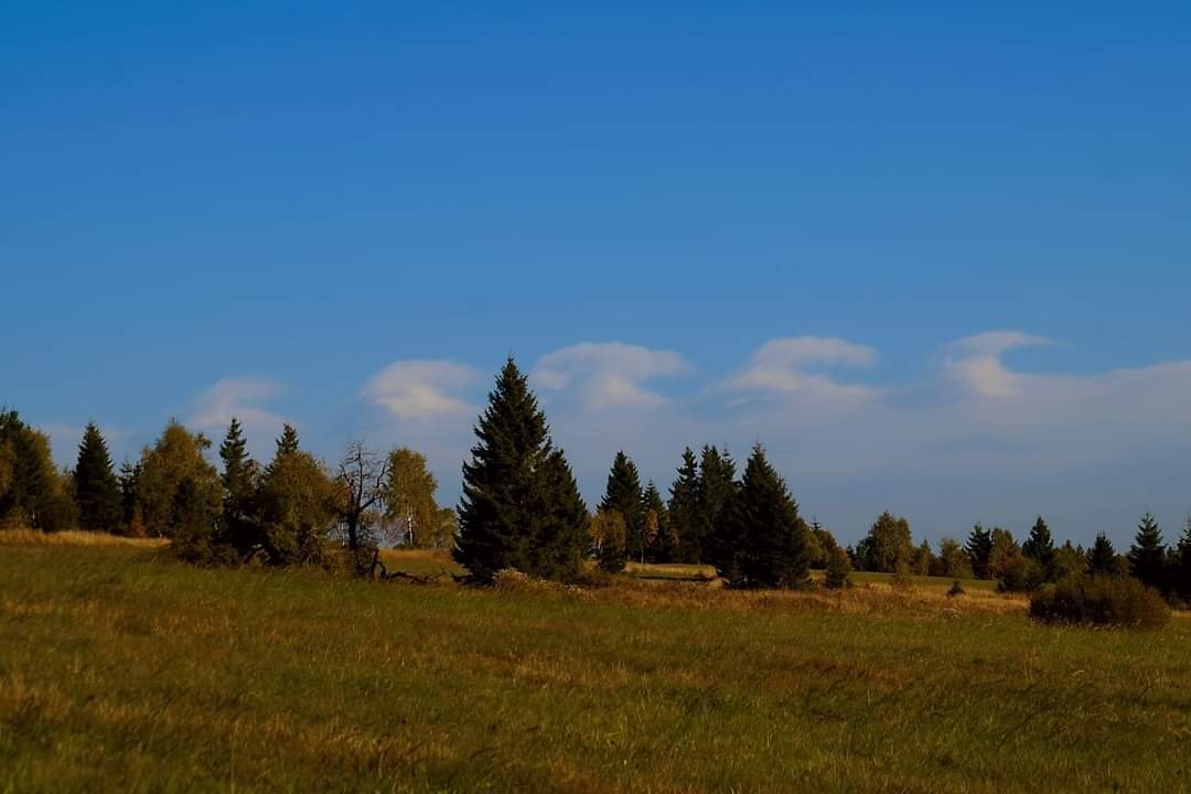 Zhůří