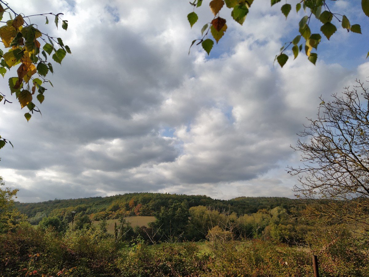 Habrovany