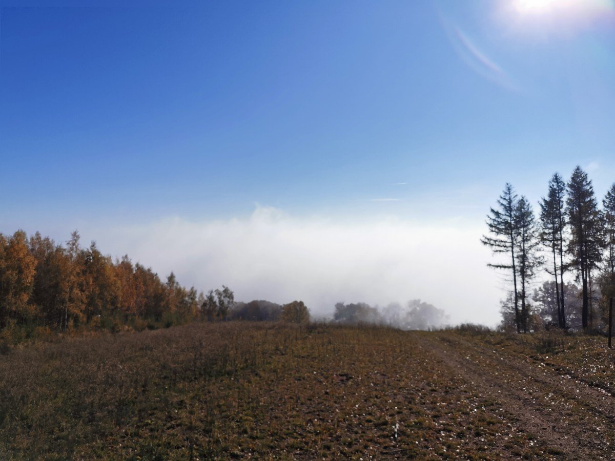 Pyšná