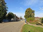 Třibřichy