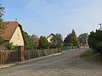 Třibřichy