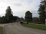 Třibřichy