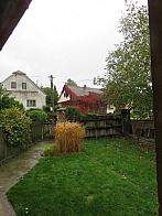 Třibřichy