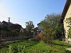 Třibřichy