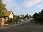 Třibřichy