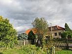 Třibřichy