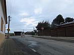 Třibřichy