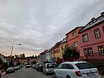 Olešná