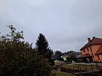 Olešná