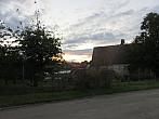 Třibřichy