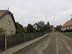 Třibřichy