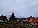 Olešná