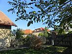 Třibřichy