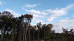 Lukovany