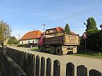 Třibřichy