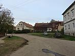 Třibřichy