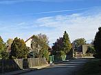 Třibřichy