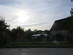 Třibřichy