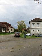 Třibřichy